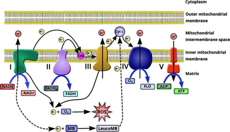 mechanism-action